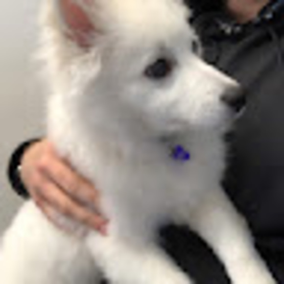 Meet your Posher, Zack - Picture 1 of 1